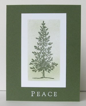 IMG_9252card21 IMG_9252card21