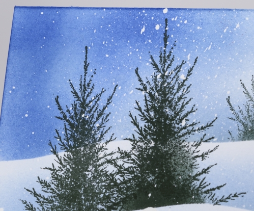 trees in snow closeup