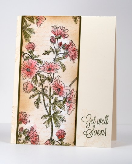 Trailing Beauty watercolour