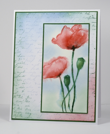 watercoloured poppies