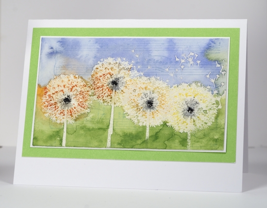 Watercolour dandelions