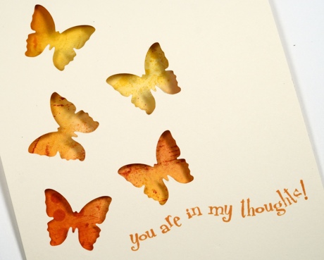 five butterflies closeup