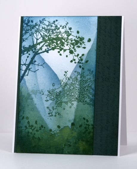 _DSC2128green valley