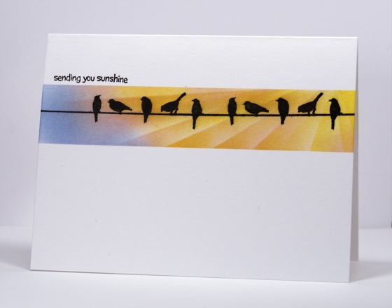 more birds on a wire