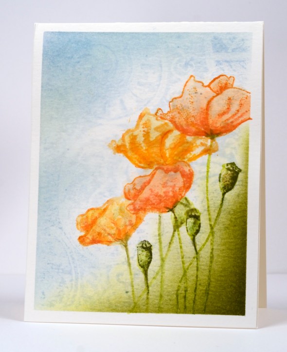 Watercolour poppies