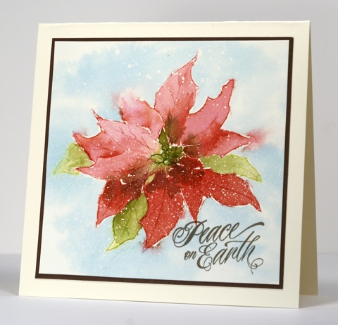 watercolour pointsettia Heather Telford