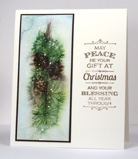 Watercolour pine bough Heather Telford