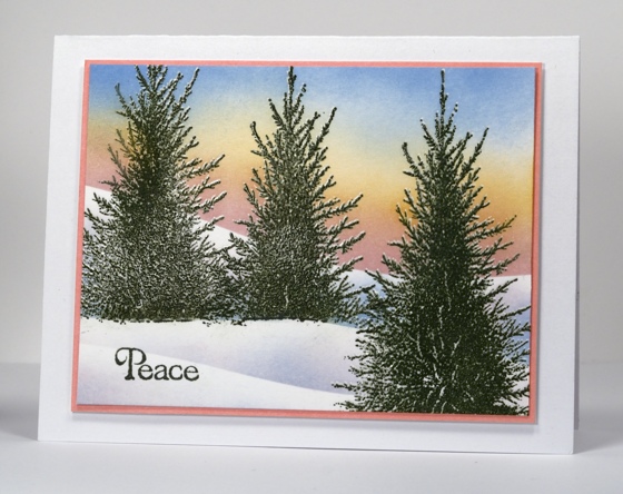 Snowy trees at sunset Heather Telford