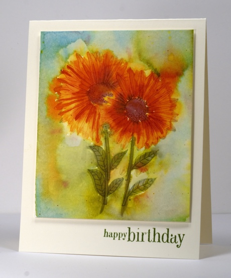 Watercolour daisies 1 Heather Telford