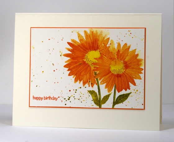 Watercolour daisies 2 Heather Telford