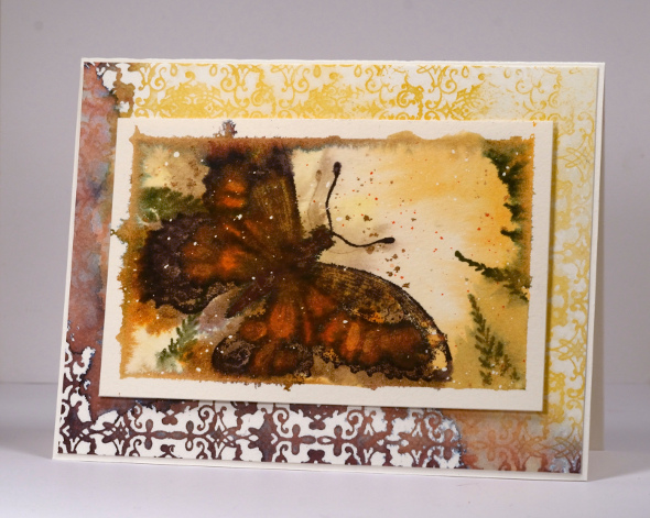 Watercolour butterfly Heather Telford
