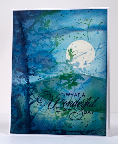 Moonlit branches Heather Telford