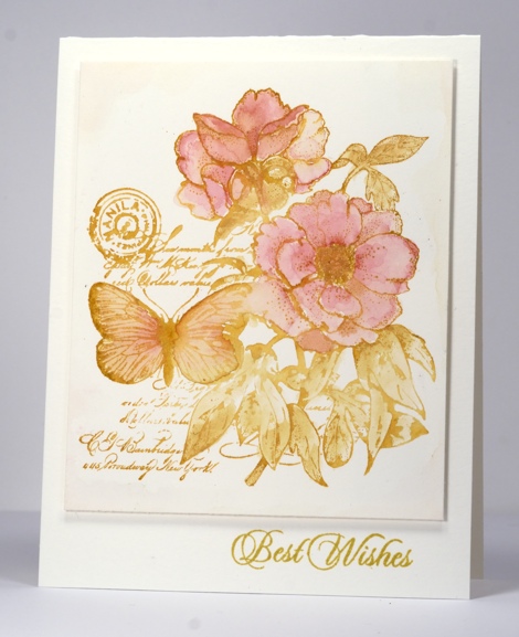 Botanical notes Heather Telford