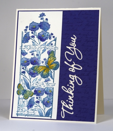 Butterfly chapter Heather Telford