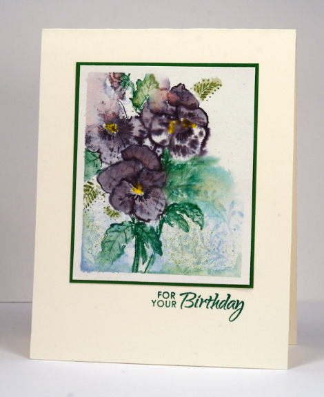 Pansy birthday Heather Telford