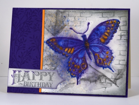 Butterfly and wall Heather Telford