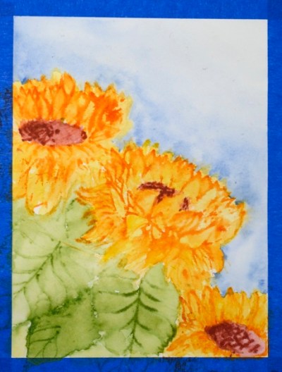 sunny hello 5 Heather Telford