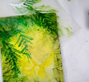 Fuchsias process 4 Heather Telford