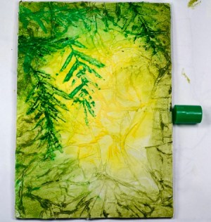 Fuchsias process 5 Heather Telford