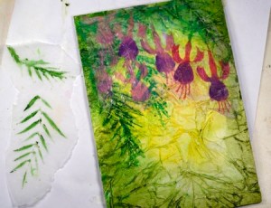 Fuchsias process 7 Heather Telford