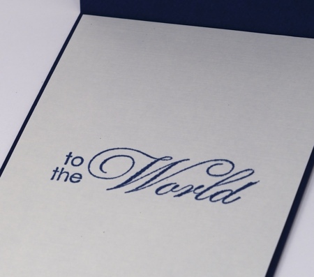 Central Park in snow inside