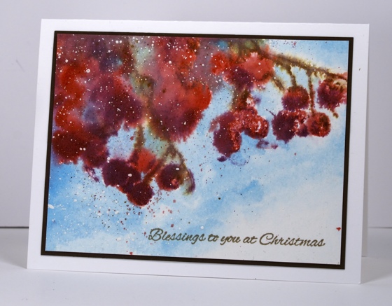 Berries in snow Heather Telford