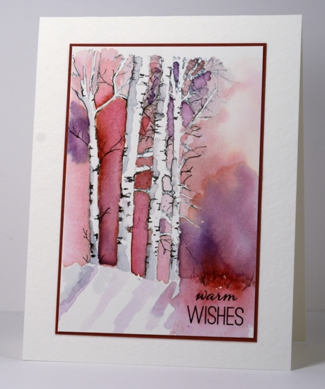 Birch trees Heather Telford