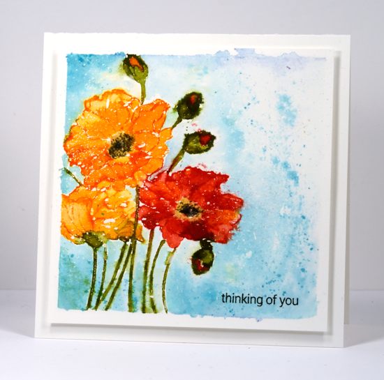 Orange & red poppies Heather Telford