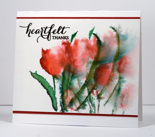 tulips Heather Telford