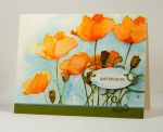 Orange poppies Heather Telford