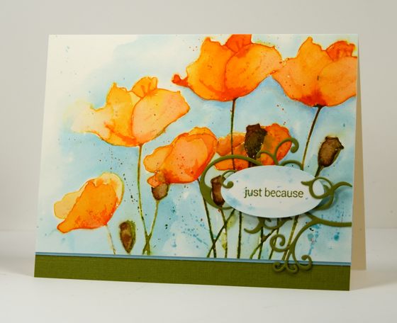 Orange poppies Heather Telford