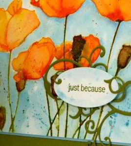 DSC_7293 Orange poppies detail Heather Telford