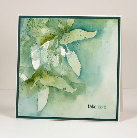 Leaf negatives Heather Telford