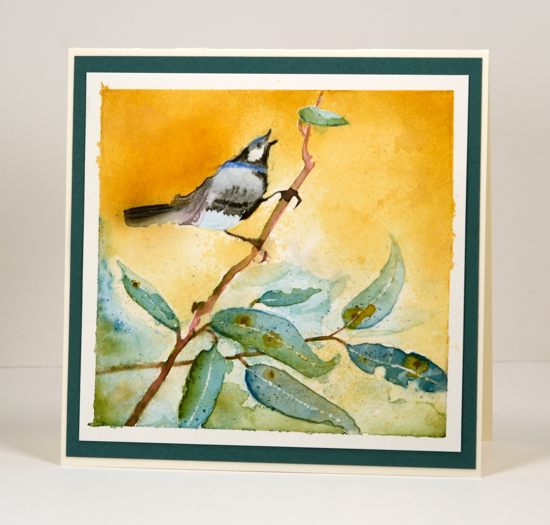 Bird on a branch Heather Telford