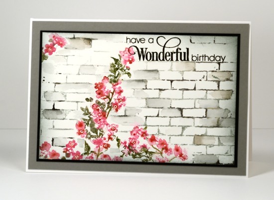 DSC_7528 Flowers on a wall Heather Telford