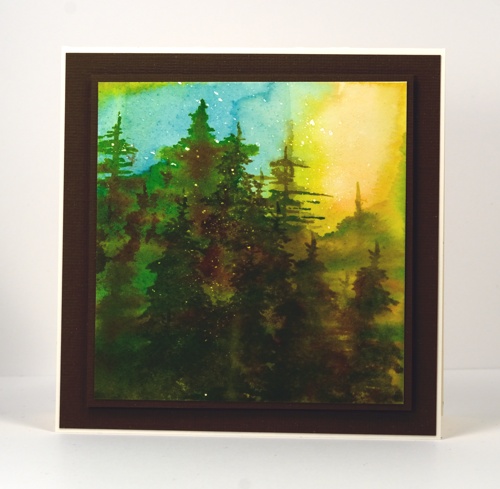 Forest sunset Heather Telford