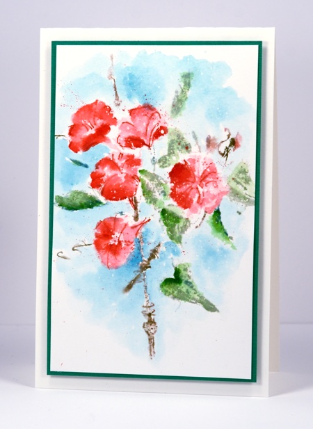 Morning Glory Heather Telford