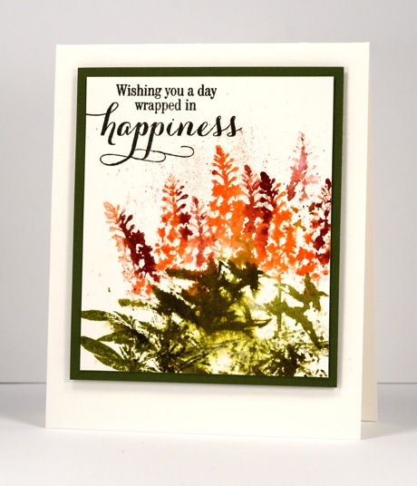 Astilbe Heather Telford