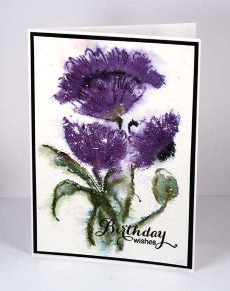 Pop,pop,poppy Heather Telford