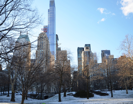  skyline from central park sc