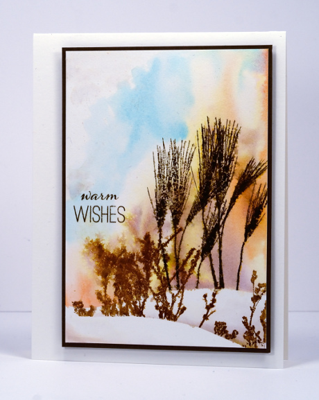 Dried grasses Heather Telford