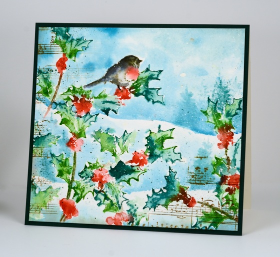 Robin on holly Heather Telford