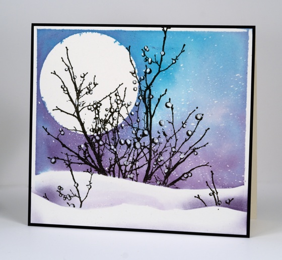 Snowball branches Heather Telford