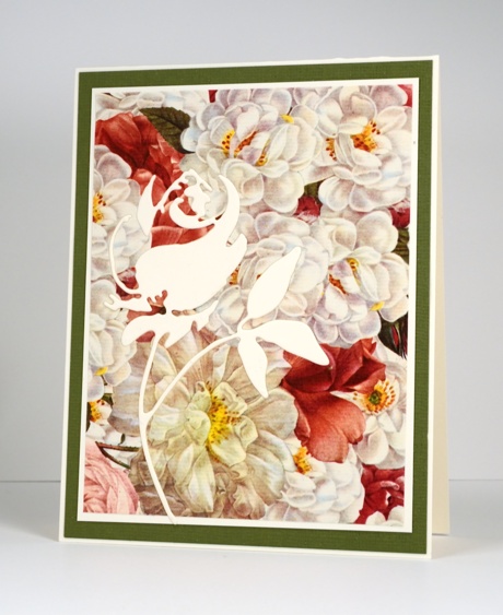 A rose of roses Heather Telford