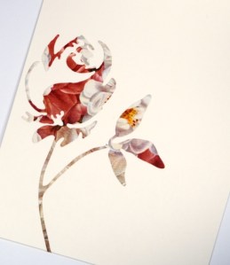 rose inside card