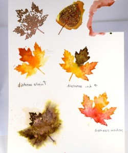 distress comparison sheet Heather T