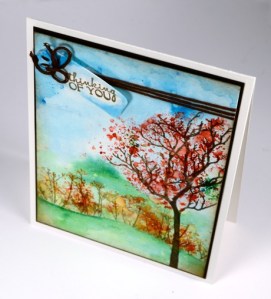 Spring tree view Heather Telford