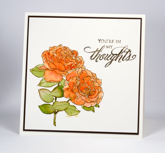 roses Heather Telford