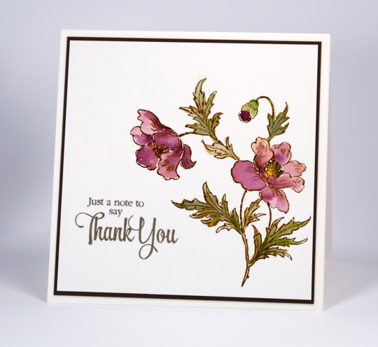 poppies Heather Telford