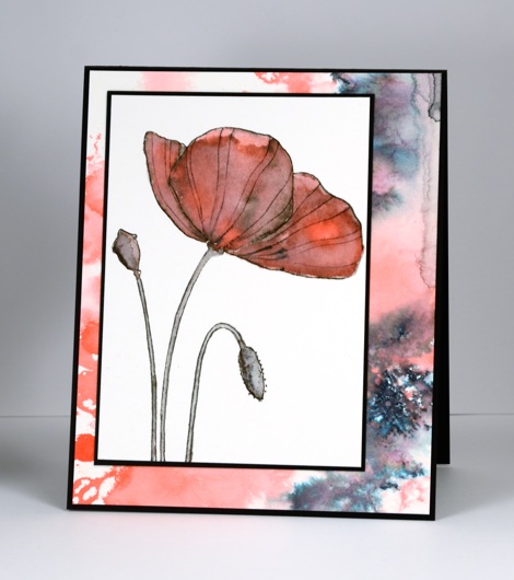 Layered poppy Heather Telford